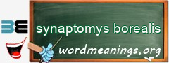 WordMeaning blackboard for synaptomys borealis